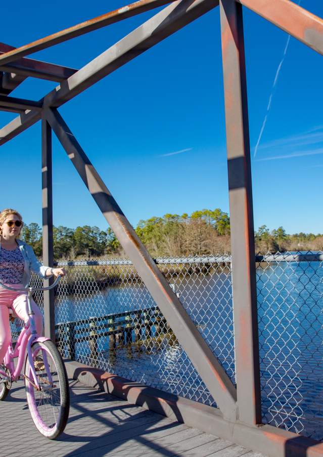 Biking the Tammany Trace