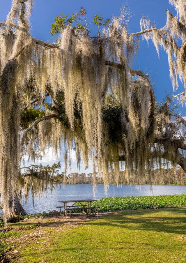 Fairview-Riverside State Park