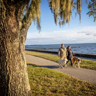 Stroll the Mandeville Lakefront