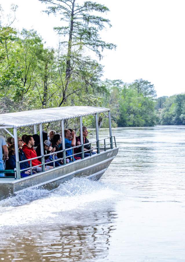 Dr. Wagner's Honey Island Swamp Tour