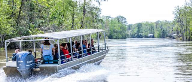 Dr. Wagner's Honey Island Swamp Tour