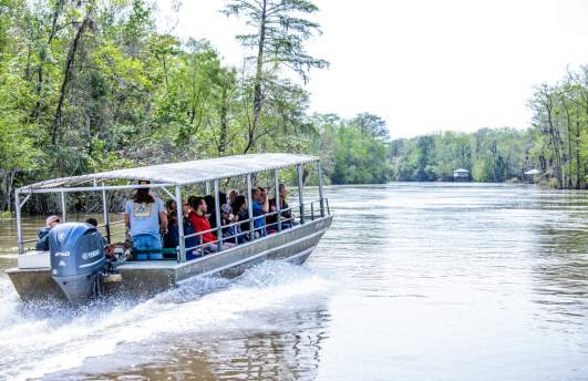 Dr. Wagner's Honey Island Swamp Tour