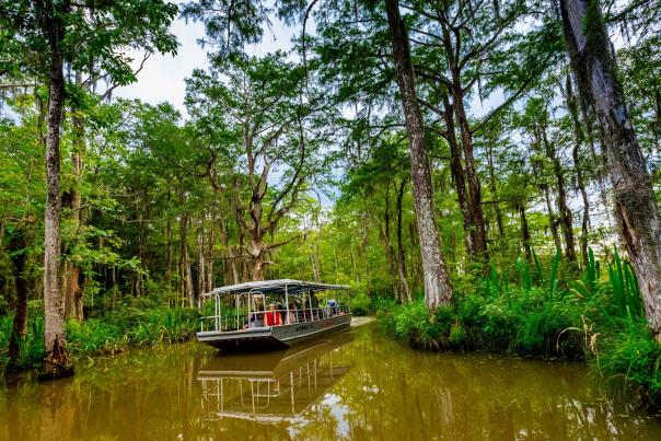 Honey Island Swamp Tour, Cajun Encounters