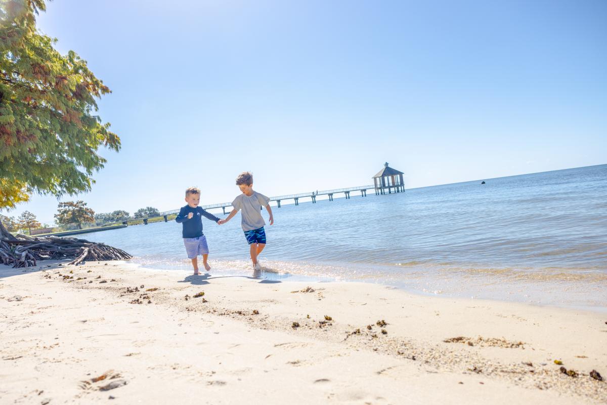 Fontainebleau State Park Beach