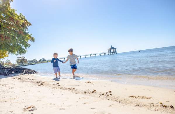 Fontainebleau State Park Beach