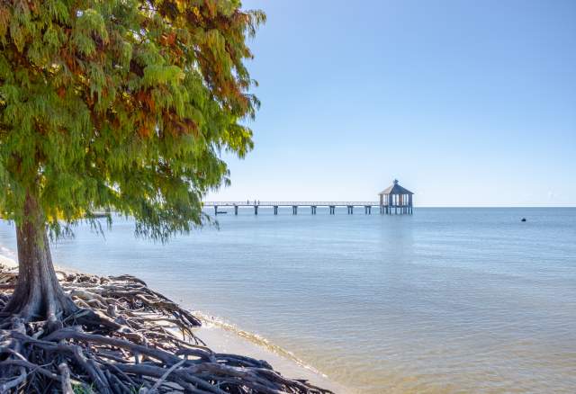 Fontainebleau State Park