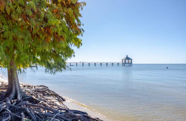 Fontainebleau State Park