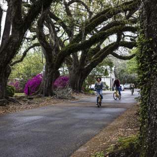 Biking under the live oaks of downtown Covington