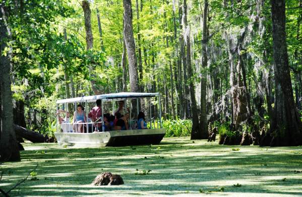 Slidell Things to Do - Honey island swamp tour