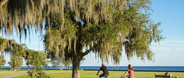 Biking along the Mandeville Lakefront