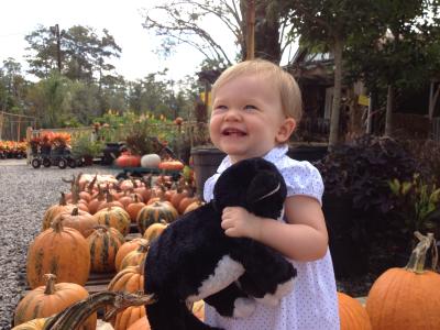 A smiling toddler holds a black and white stuffed animal in front of the Pumpkin Patch at Banting's Nursery