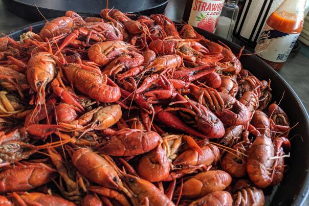 Crawfish and Strawberry Harvest Abita Beer in St. Tammany Parish.