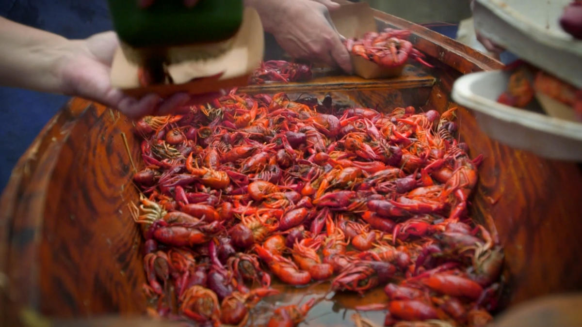 Scooping hot boiled crawfish from the pirogue.