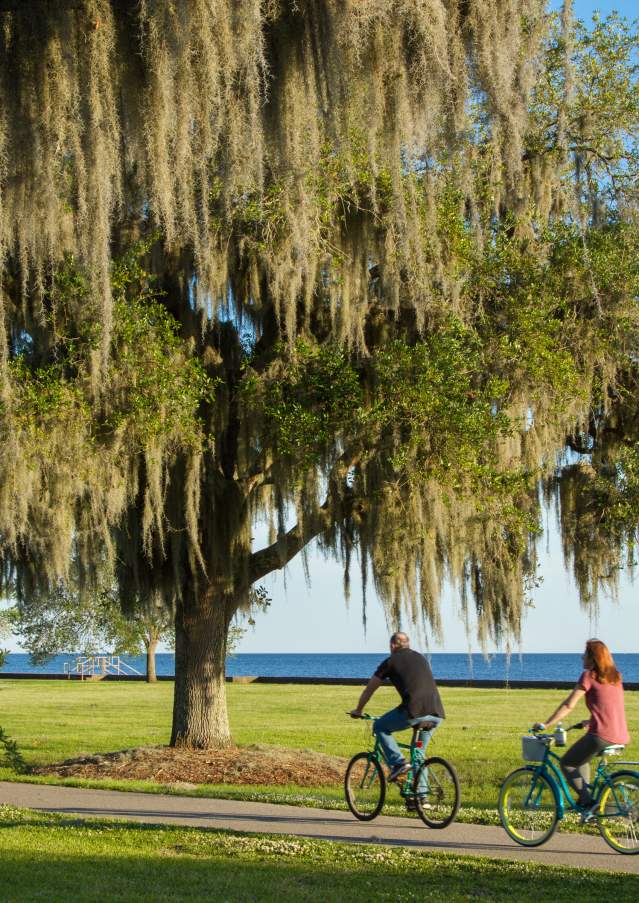 Riding bikes through the park