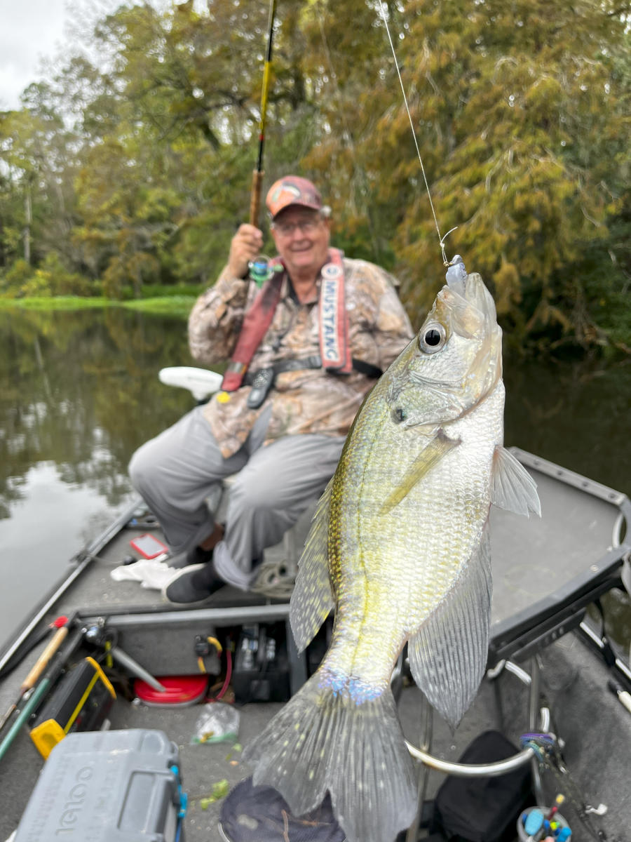 Ray Miller fishing for sac-a-lait on the Tchefuncte River.