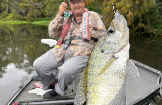 Mid-winter Sac-a-lait Fishing Heats up on The Northshore