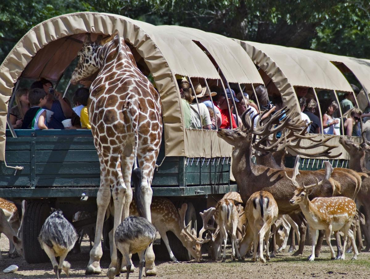 Get eye to eye with the animals at Global Wildlife Center