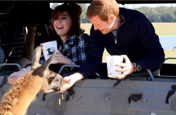 People feeding llama at Global Wildlife Center