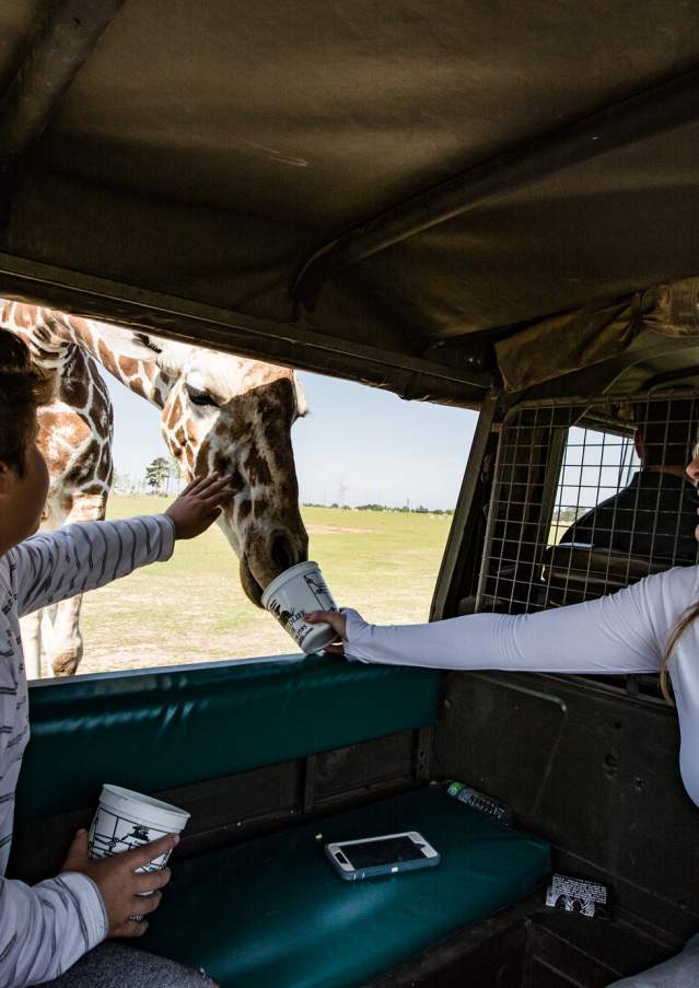 Global Wildlife Center