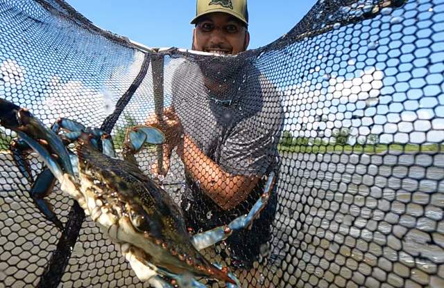 Summertime Crabbing in St. Tammany