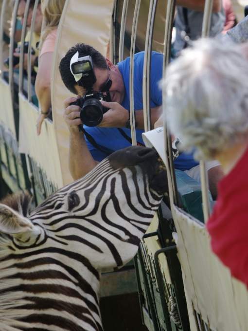 Photo ops at Global Wildlife Center