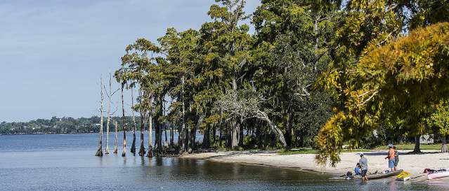 Fontainebleau State Park