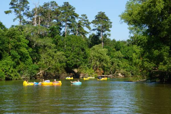 Tubing in the Park