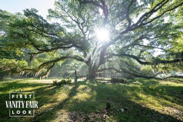 Where the Crawdads Sing