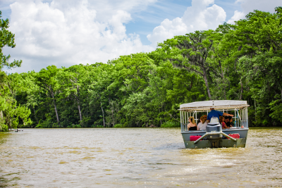 Honey Island Swamp Tour